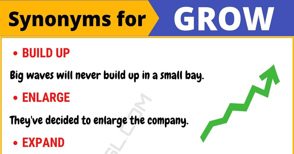 room to grow synonym