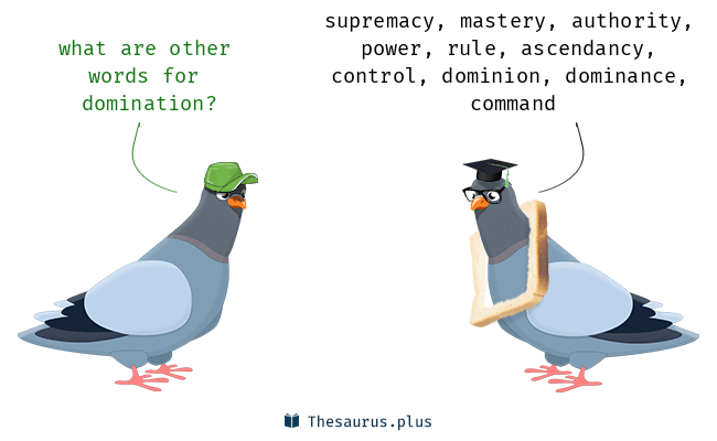 synonym for domination