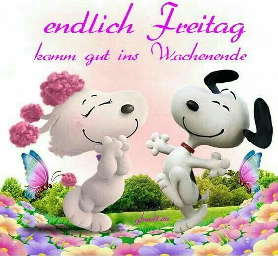 snoopy freitag bilder