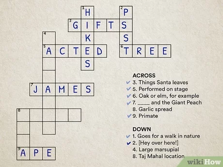 easy to see or understand crossword clue