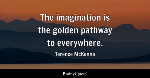 terence mckenna quote