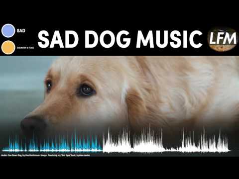 sad dog music video