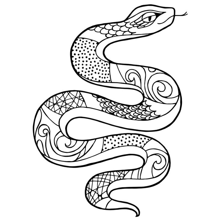 snakes colouring