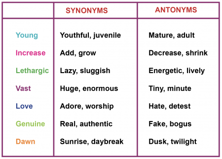 antonym means