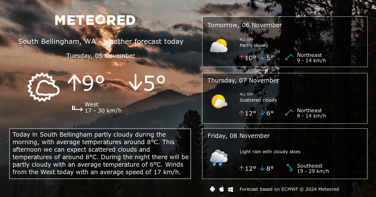 weather bellingham wa 14 day