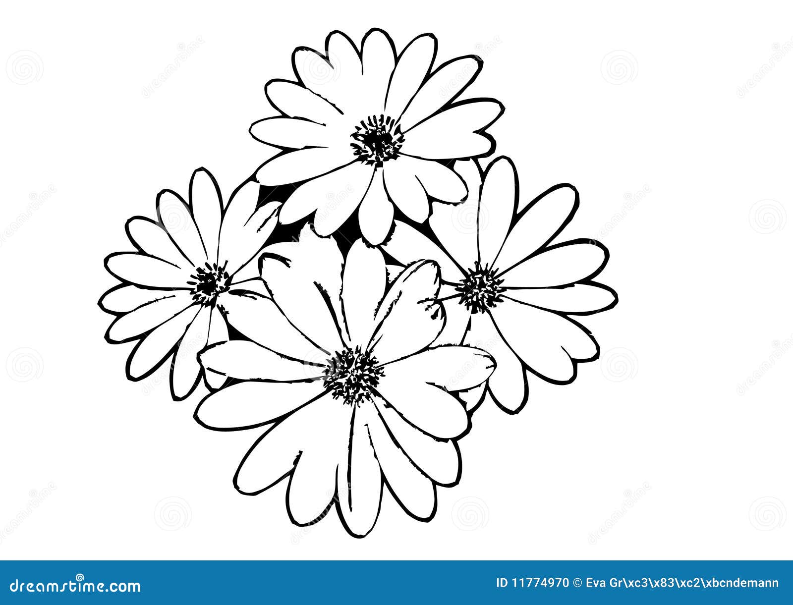 black outline flower