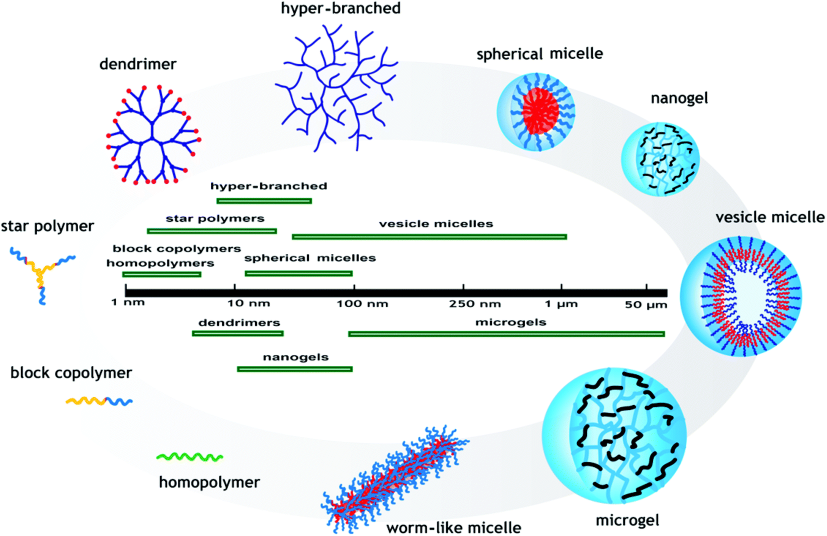 ph responsive polymers