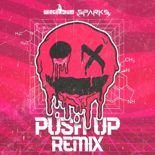 push up remix