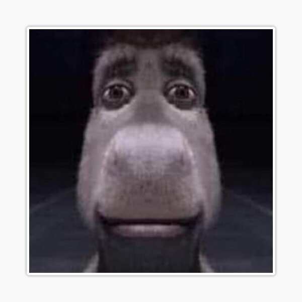 donkey shrek meme