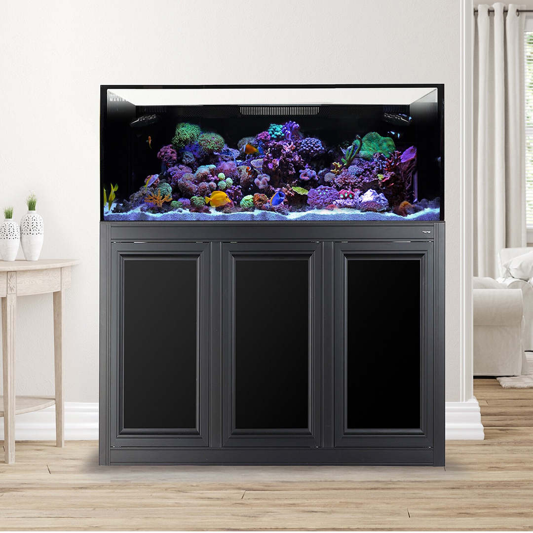 100 gallon fish tank