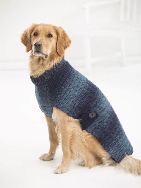 dog coat crochet pattern free