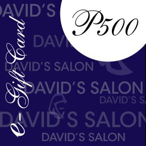 david salon credit card payment