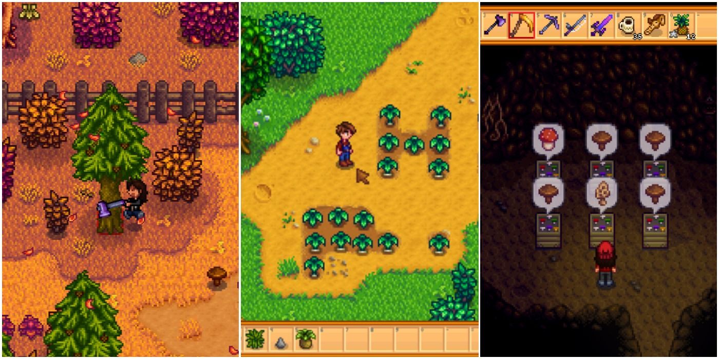 foraging stardew