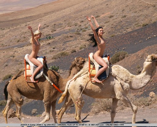 camel porn