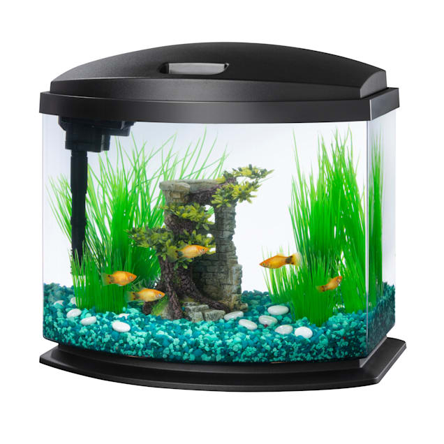 small fish tanks for sale