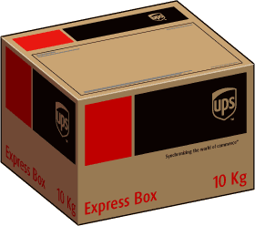 ups express box small