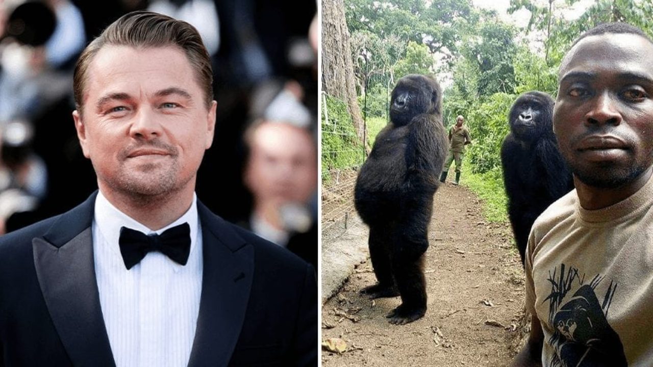 leonardo dicaprio monkey