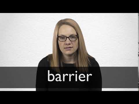 synonyms for barrier