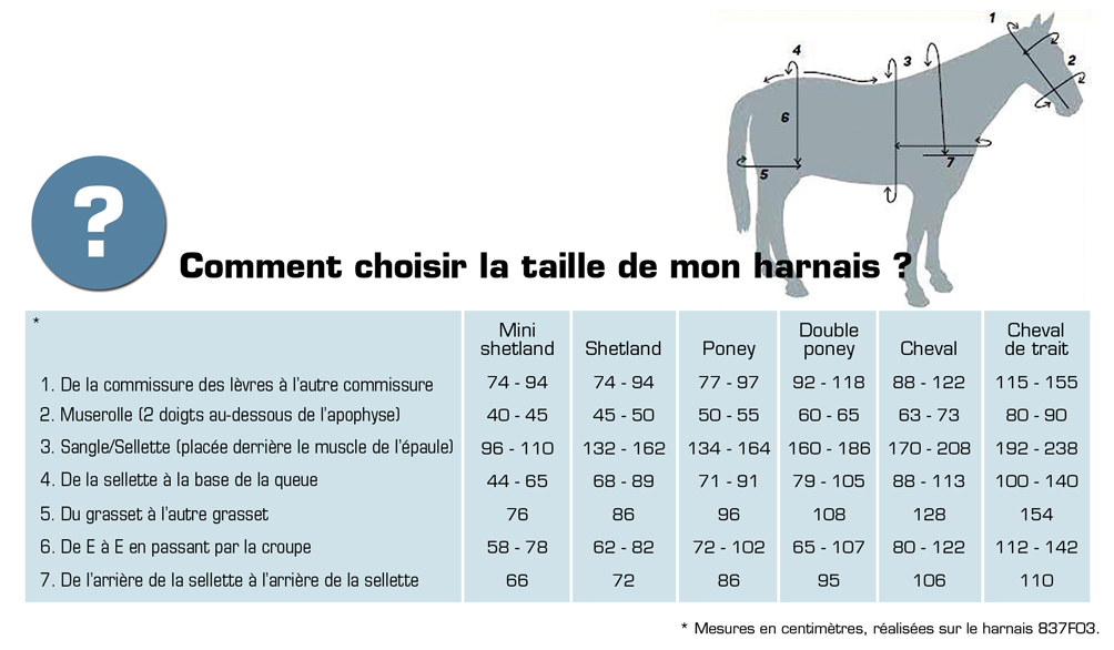 taille full ou cob