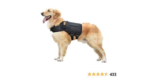 dog weight vest