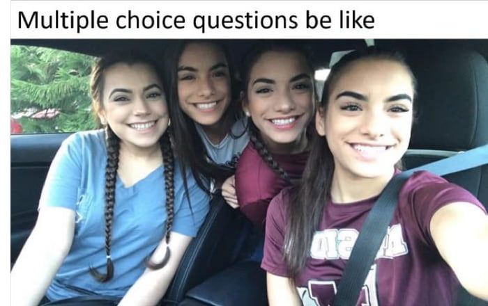 all of the above meme