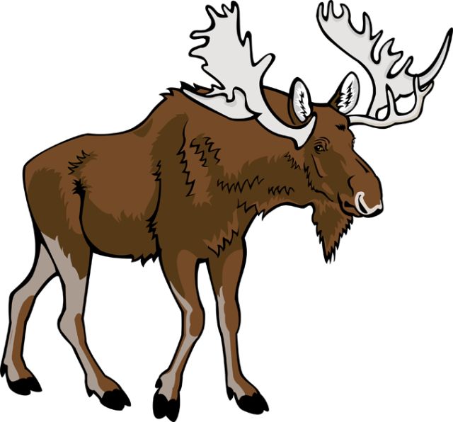 moose clipart