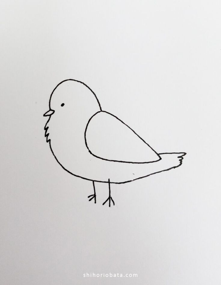 birds drawing easy