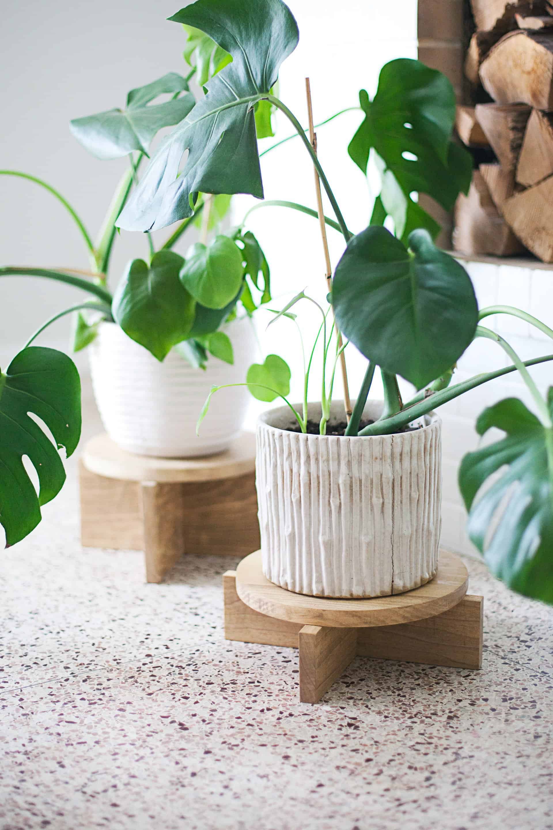 wooden plant holder