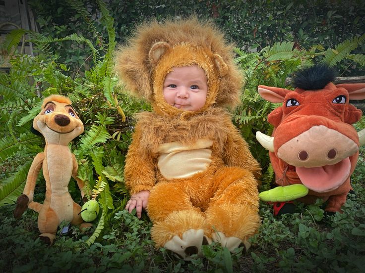 infant lion costume