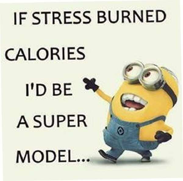 minion memes for moms