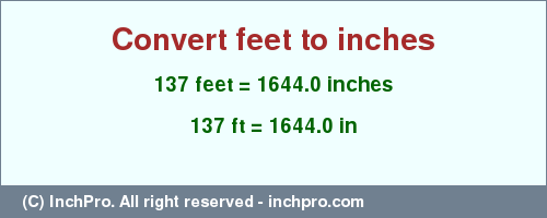 137 inches to feet