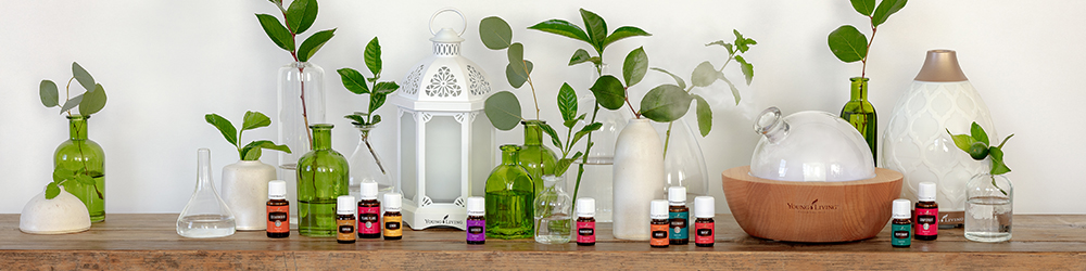 young living australia log in