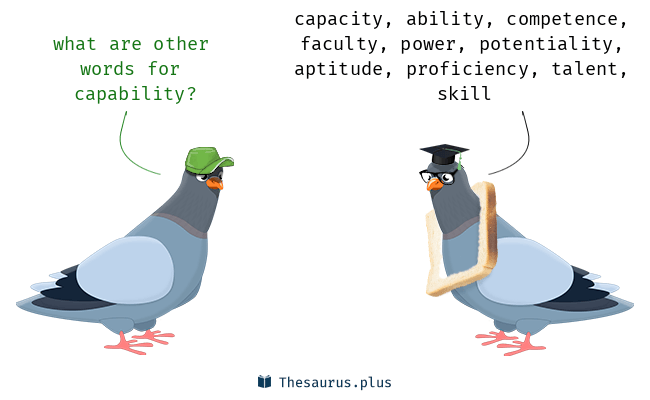 capability synonym