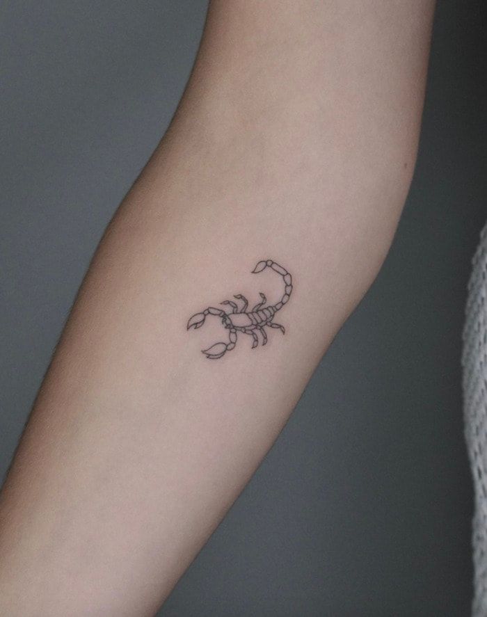 small scorpion tattoo