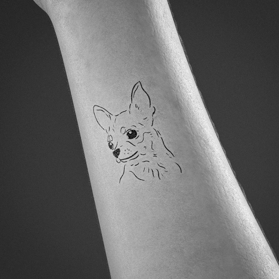 chihuahua dog tattoo