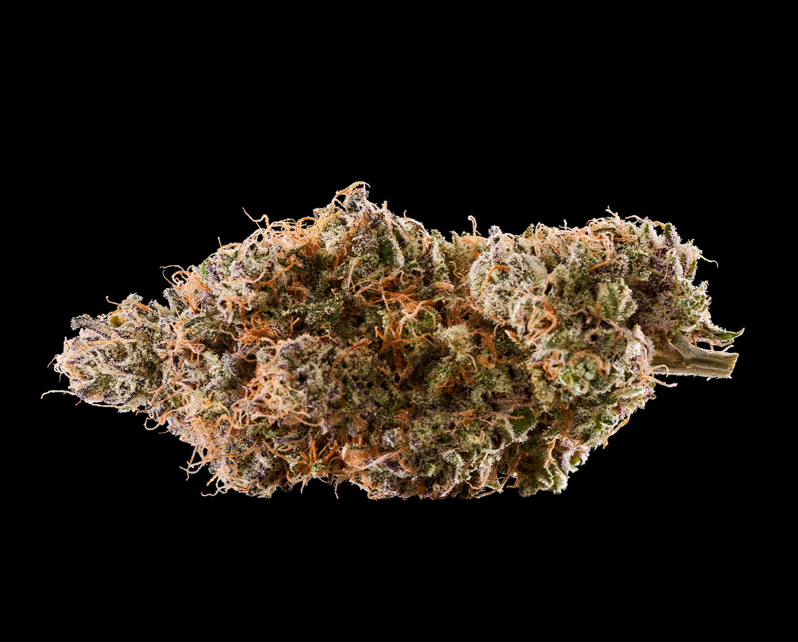 lavender gelato strain review