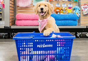 petsmart job opportunities