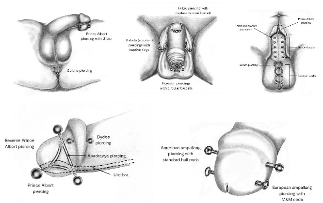 apadravya piercing benefits