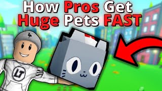 how to make a huge pet in pet simulator x