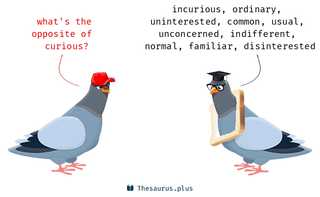 curious thesaurus