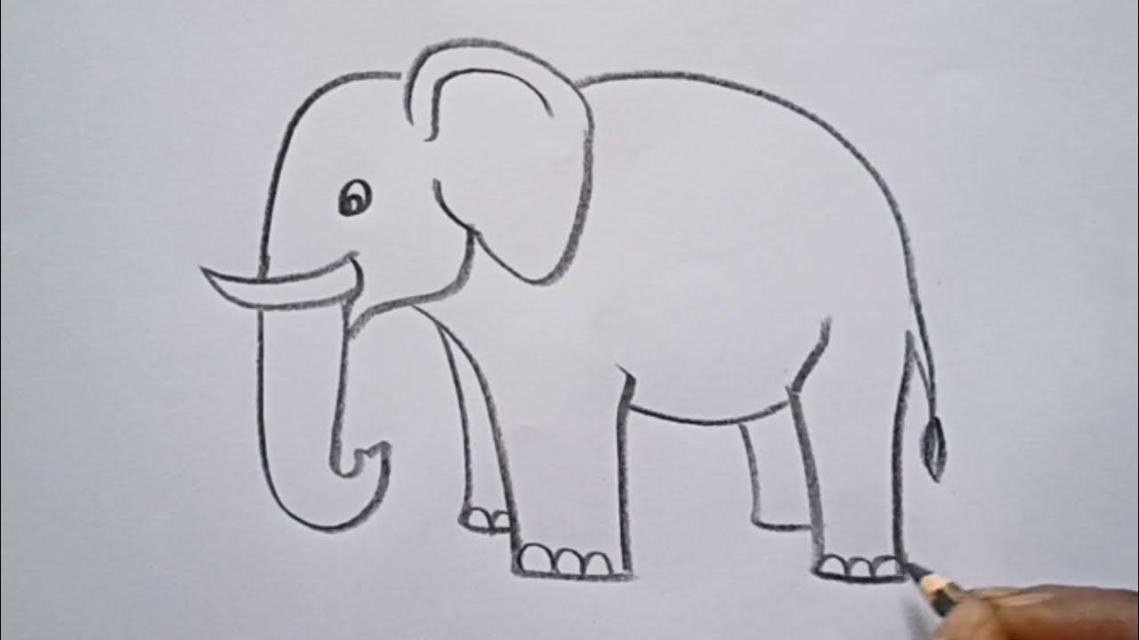 elephant drawing easy