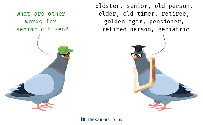 senior citizen thesaurus