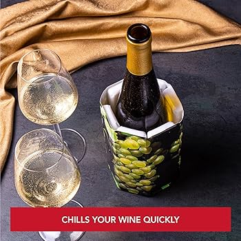 vacu vin rapid ice wine cooler