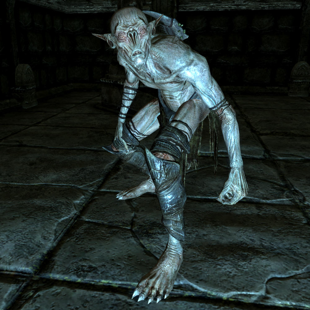 skyrim falmer