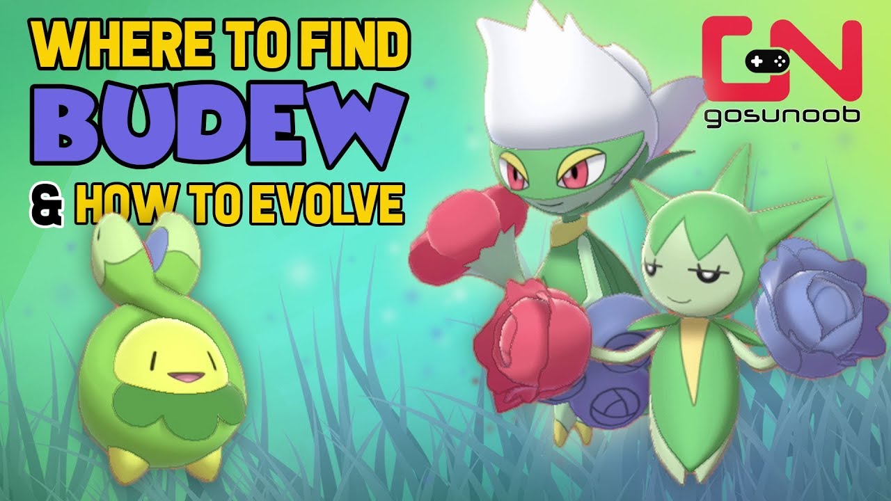 how to evolve budew