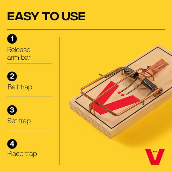 how do you set up a rat trap