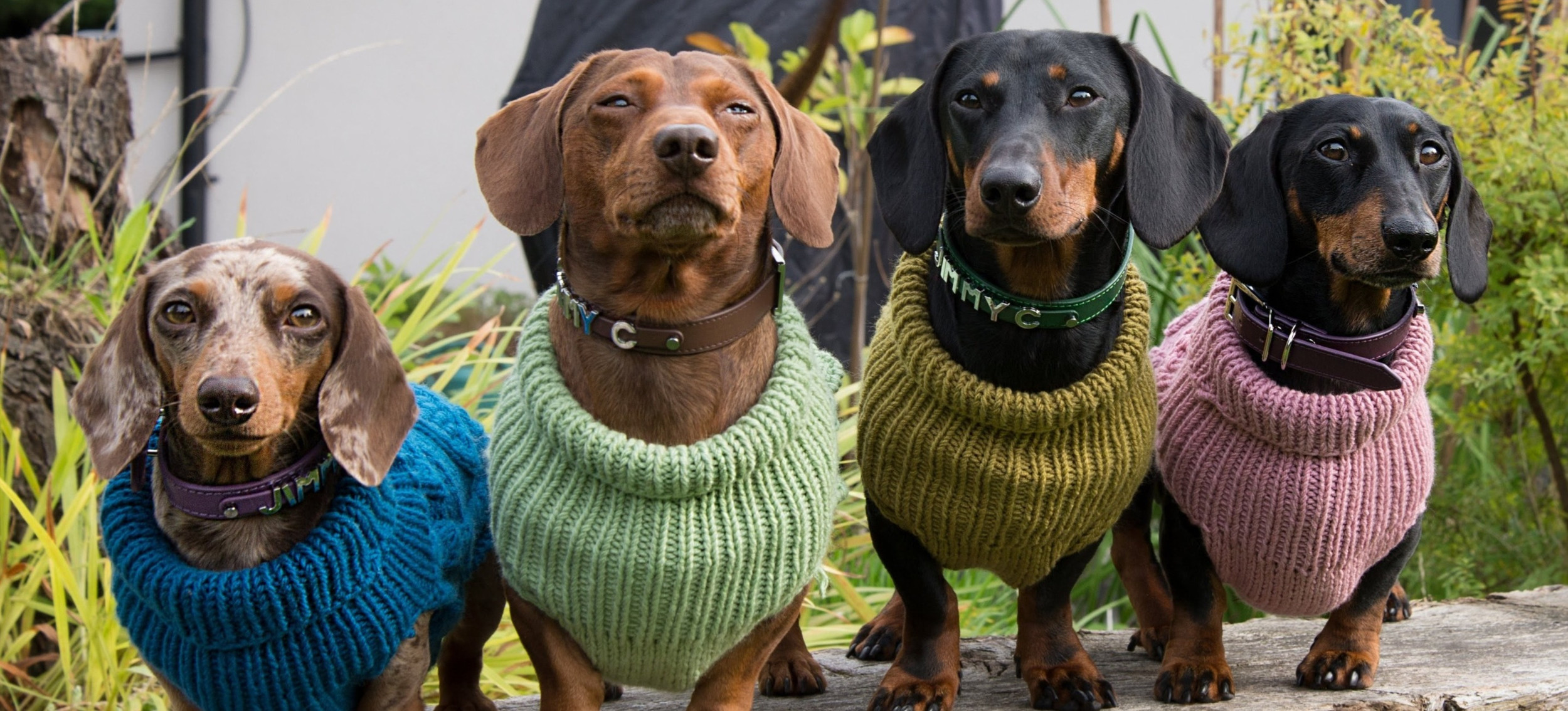 sausage dog apparel