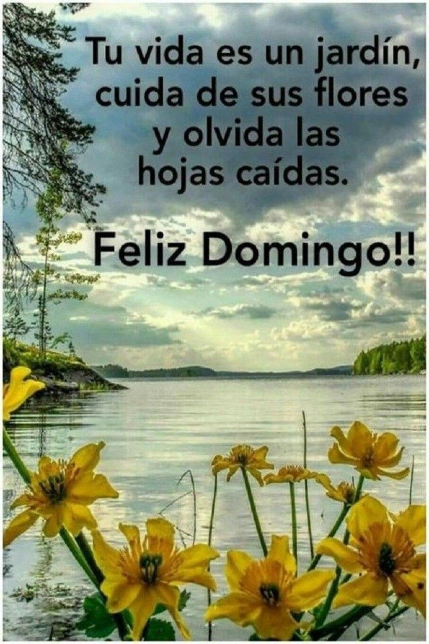 buenos días feliz día domingo