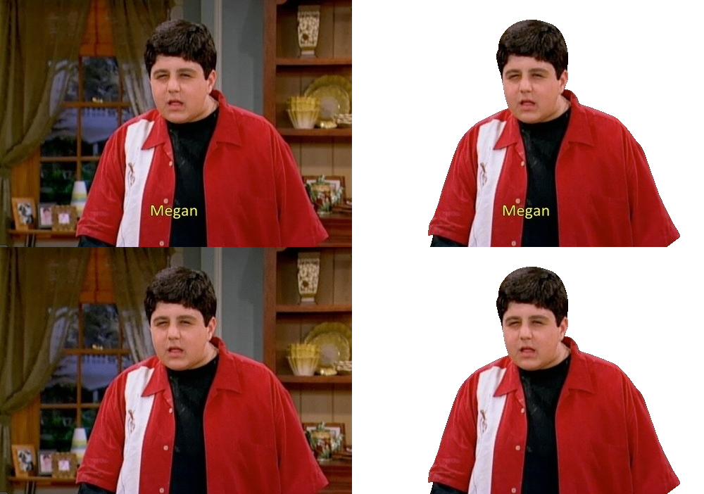 drake y josh megan meme