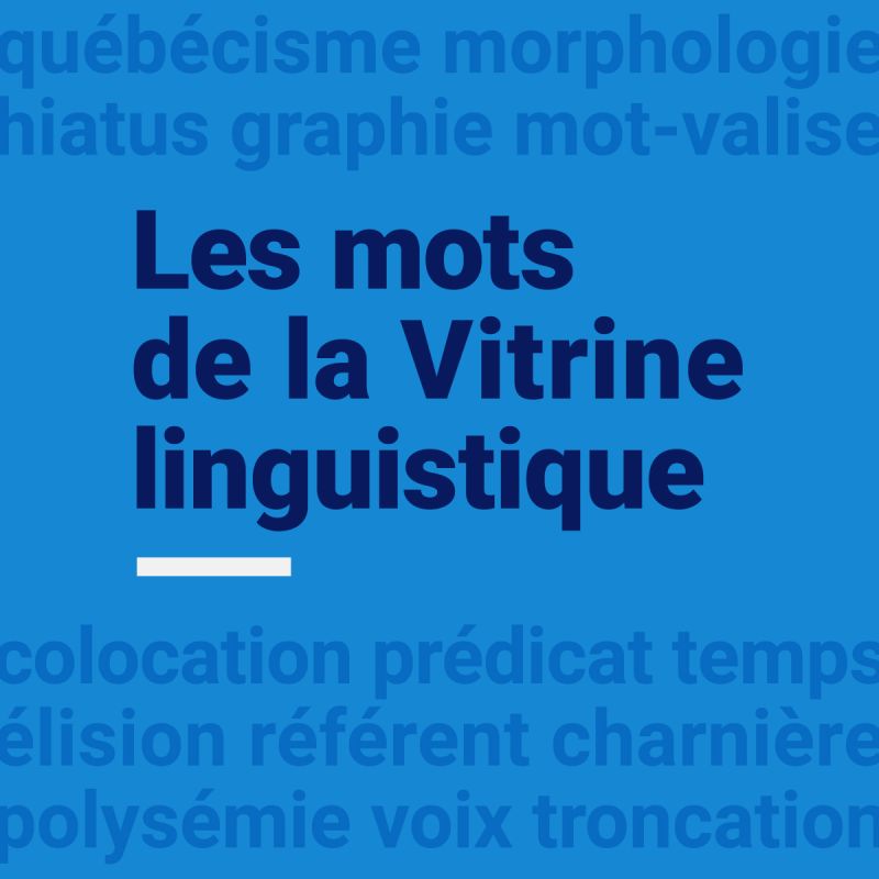 vitrine linguistique